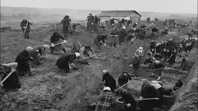 Где родился, там и пригодился. Презентация Бистяйкиной Алёны смотреть онлайн