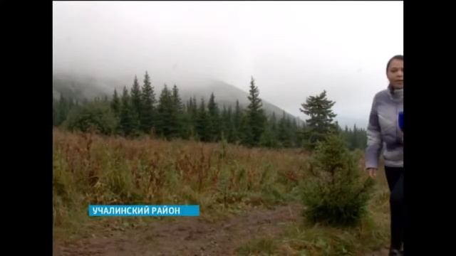 Сорок инвалидов республики отправились покорять гору Иремель (27.08.2015)) смотреть онлайн