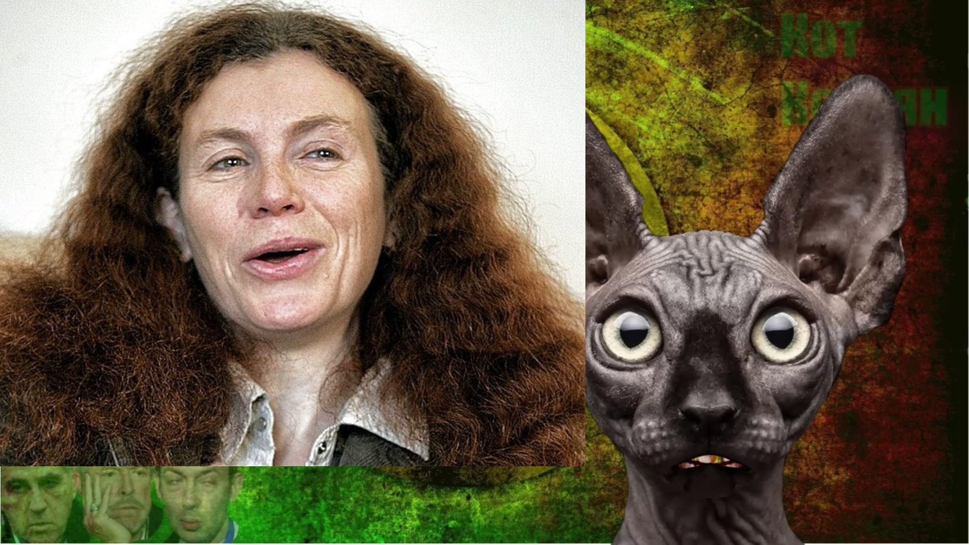 Сводки с фронтов с Котом Костяном от 31.01.24 смотреть онлайн