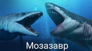 5 существ которых боялся даже Мегалодон