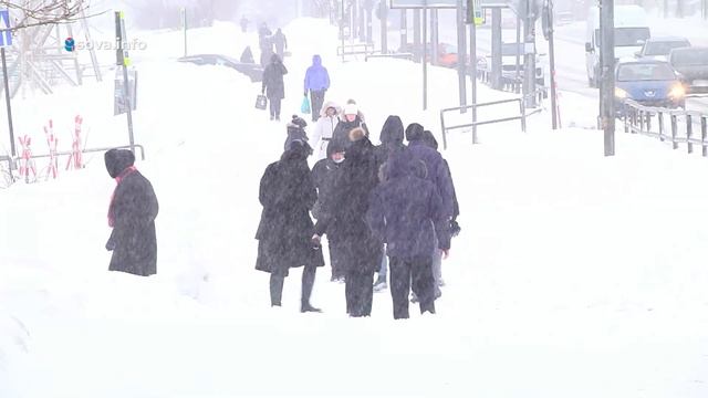 День неандертальца. Утро Губернии смотреть онлайн