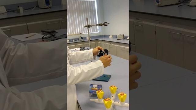 Demonstration of rotational angular momentum смотреть онлайн