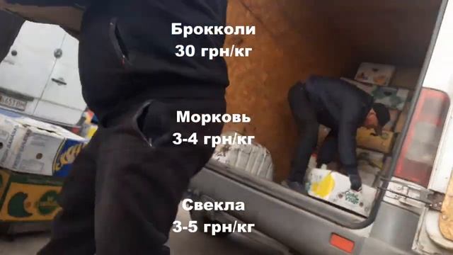 Курс валют, цена на бензин, цены в Копанях смотреть онлайн
