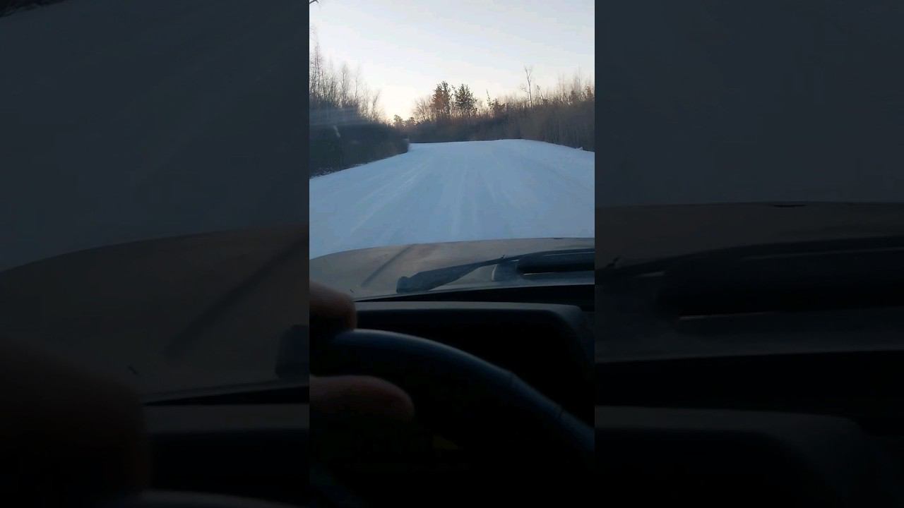 загонная коллективная охота смотреть онлайн