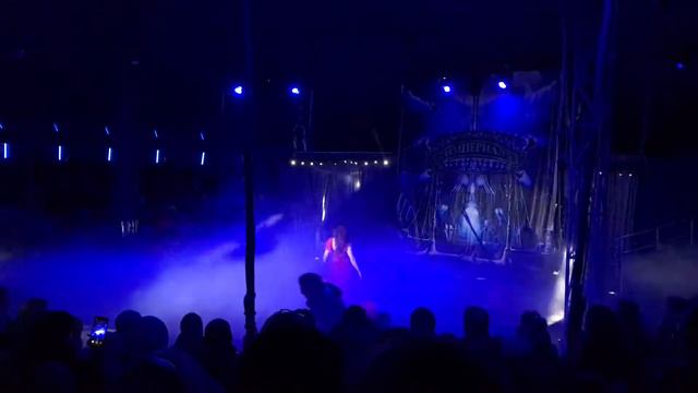 Воздушные акробаты Цирк Империал Клуб «Тэнгу Про» Самооборона и Подготовка бойца