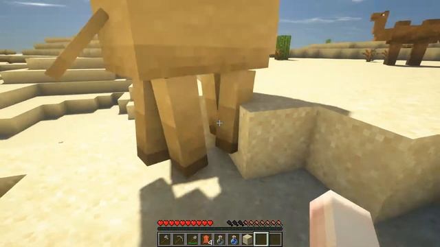 Minecraft 1.16.5 - Camels mod смотреть онлайн