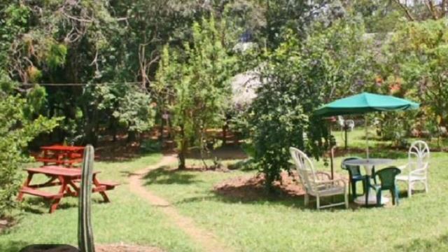 KONGONI CAMP NANYUKI/TEMBEA??#TRAVEL VLOG# смотреть онлайн
