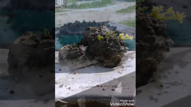 Поделки из цемента. смотреть онлайн