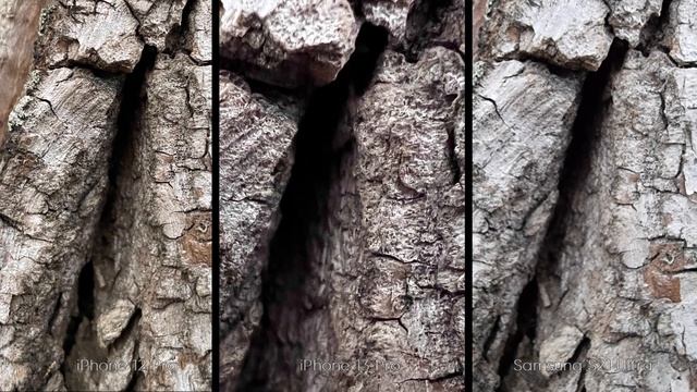 Сравнение камер iPhone 13 Pro, 12 Pro и Samsung s21 Ultra ? БОЛЬШОЙ ТЕСТ смотреть онлайн