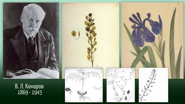 Научный рисунок — инструмент научного познания