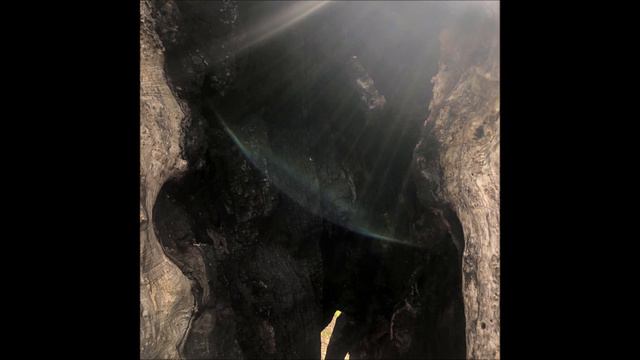 DIAMOND CITY смотреть онлайн