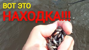 Вот это НАХОДКА!!! Не поверил своим глазам, когда увидел! Пляжно-подводный поиск с металлоискателем.