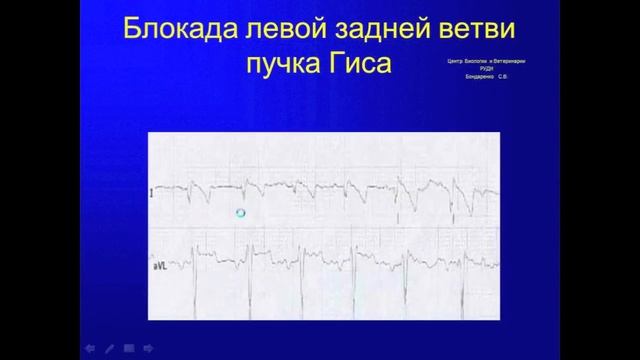 Основы электрокардиографии у собак и кошек для чайников смотреть онлайн