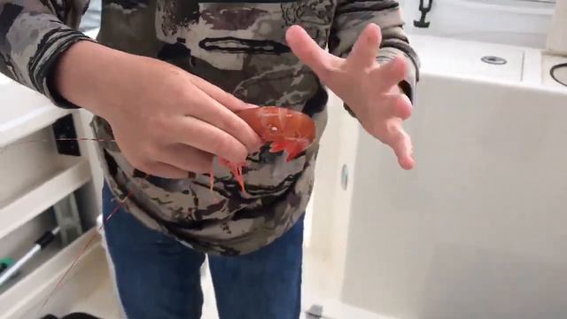 How to crack a shrimp to get the meat of the head. смотреть онлайн