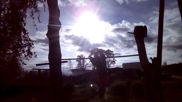 Влог # дохлая ворона