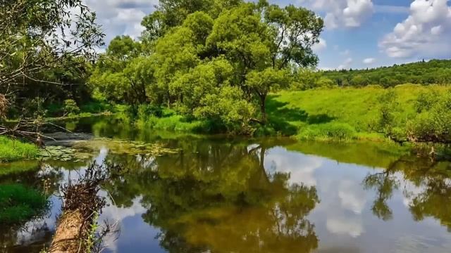 Две вещи, которые надо знать всем. Праведный Иоанн Кронштадтский. смотреть онлайн