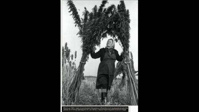 ПАМЯТНИК КОНОПЛЕ В МОСКВЕ смотреть онлайн