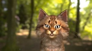 Кот Семен читает комментарии зрителей | Семен Ученый