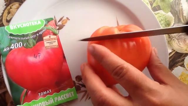 Томат "Малиновый рассвет". Дегустация смотреть онлайн