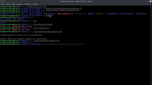 Настройка data source в WildFly. Установка драйверов PostgreSQL и Oracle DB смотреть онлайн