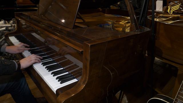 Bluthner Style 6 Piano - Demonstrated by Sherwood Phoenix смотреть онлайн