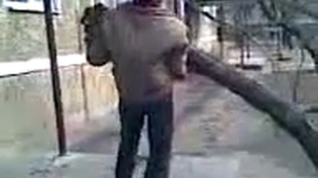 мужика придавило бревном.3gp смотреть онлайн