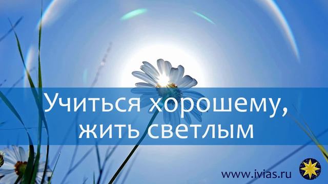 Учиться хорошему, жить светлым смотреть онлайн