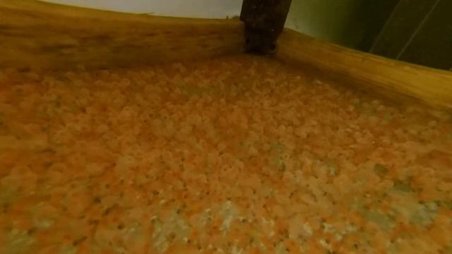 инкубация икры форели . выклев форели из икры . смотреть онлайн