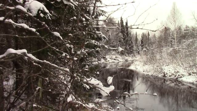 Похождения по лесу , охота на боровую дичь