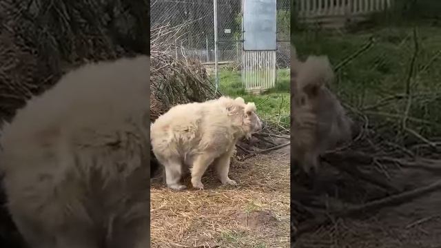 после долгой гулянки смотреть онлайн