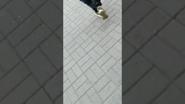 Открываю Домофоны в Санкт Петебурге смотреть онлайн
