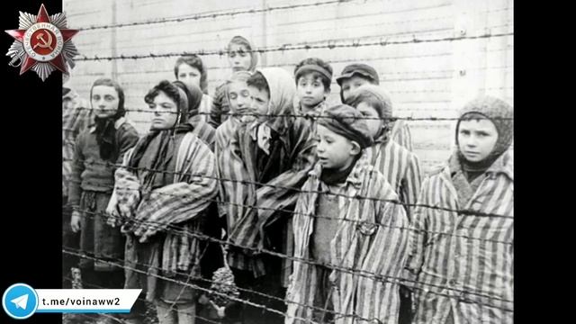 ШОКИРУЮЩИЙ рапорт акушерки из Освенцима. смотреть онлайн