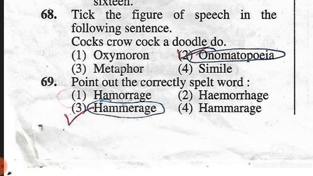 most important questions of English смотреть онлайн