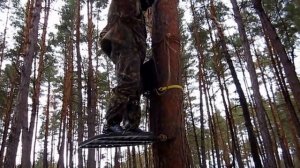 Лабаз , тристенд , засидка на дереве . Гаффы.