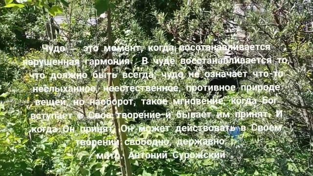 СИЛЬНАЯ МОЛИТВА ДЛЯ ПОЛНОГО БЛАГОПОЛУЧИЯ смотреть онлайн