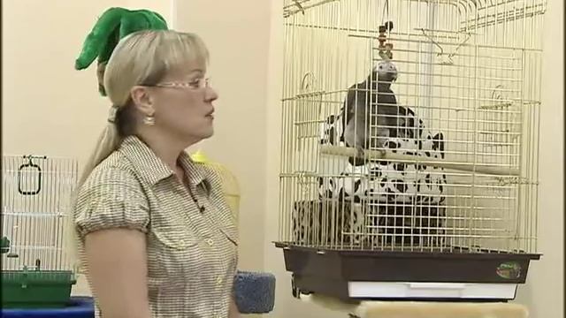 Содержание ЖАКО!