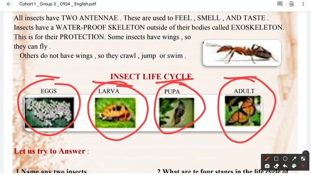 Science Worksheet 70 for class 6 7 8 || 24 September 2020 || DOE CBSE NCERT || English Medium смотреть онлайн