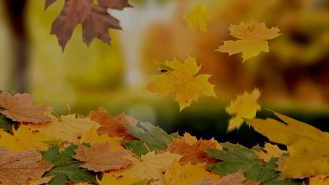 Эдуард Жолудев - "Осенний бал". Читает Владислав Витковский смотреть онлайн