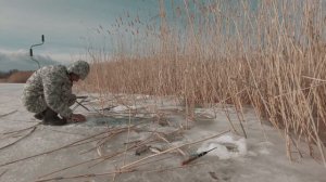 ЛОВЛЯ КАРАСЯ В МАРТЕ на зимние удочки со льда в камышах