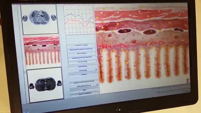 Рабочий материал 5 смотреть онлайн