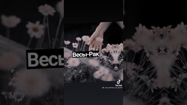 Какой ты знак зодиака по знаку задиака? смотреть онлайн