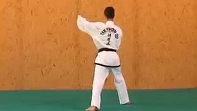 ITF Taekwon-Do Patterns (14 of 14) Ge-Baek смотреть онлайн