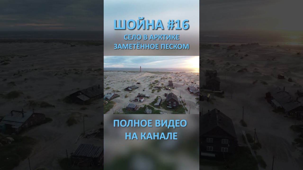 ШОЙНА SHOYNA 16 SHORTS #SHORTS смотреть онлайн