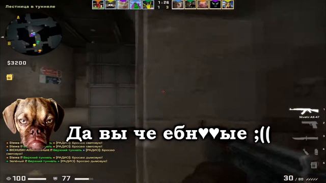 Мой друг крыса!1!!!??? CS:GO momy take care of my dickland смотреть онлайн