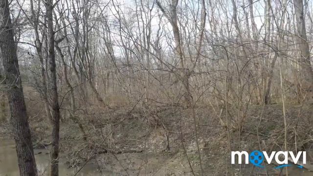 с 8 #марта удачи вам женский день ! я был в #лесу там #Цветы 5 03 2020 смотреть онлайн