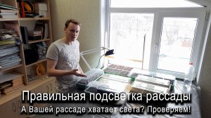 Правильная подсветка рассады. Как проверить, достаточно ли света вашей рассаде? #ТриЭкоОгород