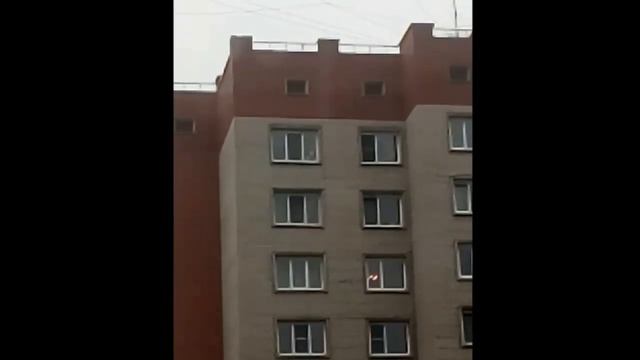 Ребёнок прогулялся по подоконнику восьмого этажа дома в Бердске смотреть онлайн