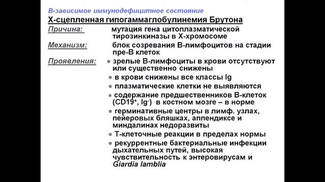 ПФ Immun 24.11.2021