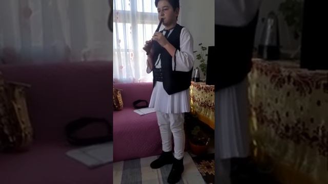 STĂNCIOI NICOLAE 13-15 ani FLUIER смотреть онлайн