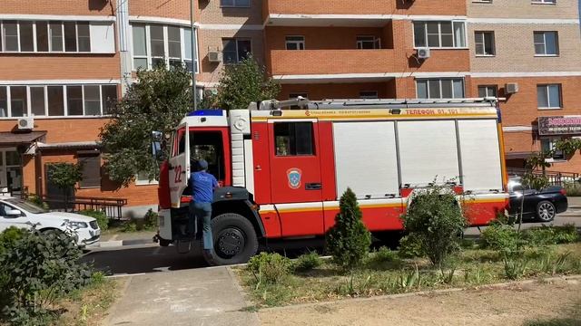 Влог. Высушила зелень?Пополнение в семье??Где живет мама отличника? Жареная картошка с грибами смотреть онлайн